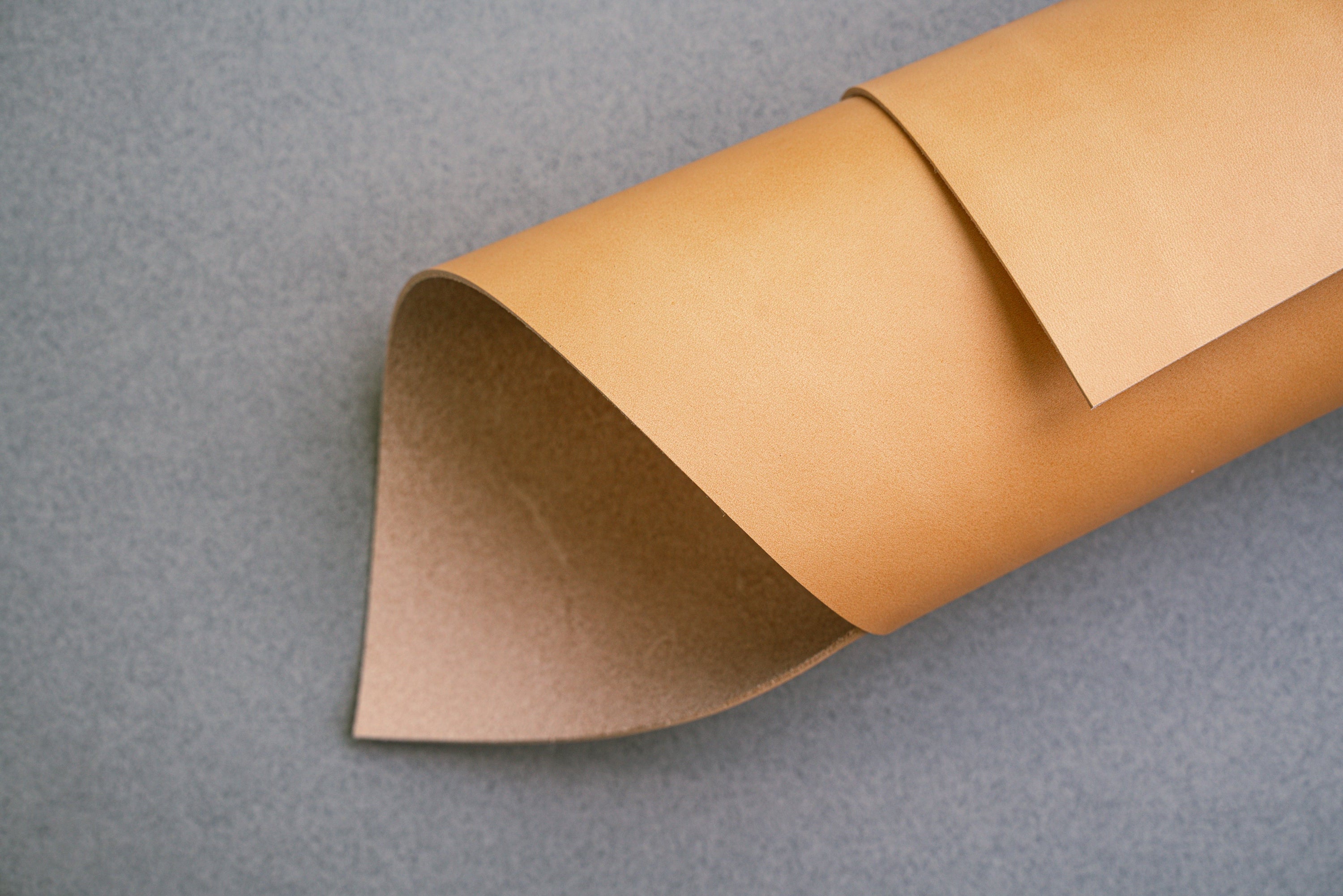 Rolled-up tan leather on a gray background